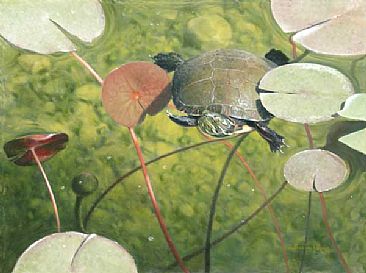 Hector the turtle - Painted turtle by Patricia Pepin