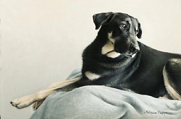 Kelly - Dog by Patricia Pepin