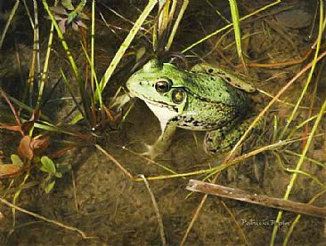 La Vie en Vert - Frog by Patricia Pepin