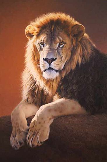 Leo - Lion by Patricia Pepin