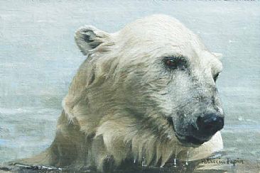 Looking North - Polar bear by Patricia Pepin