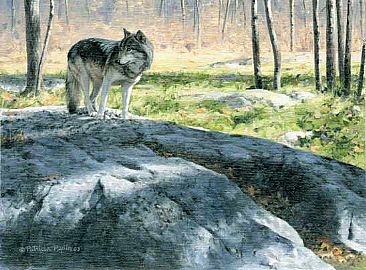 A touch of Fall - wolf by Patricia Pepin