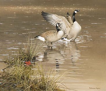 October Day - Goose by Patricia Pepin