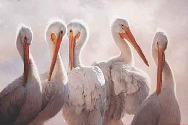 Morning Ritual - Pelican by Patricia Pepin