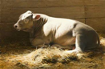 Resting Bull - Bull by Patricia Pepin