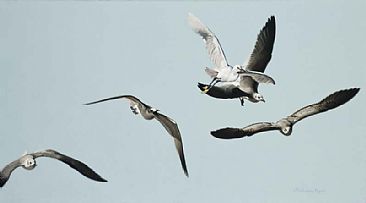 Squadron for a Shrimp - Laughing Gull and Snowy Egret by Patricia Pepin