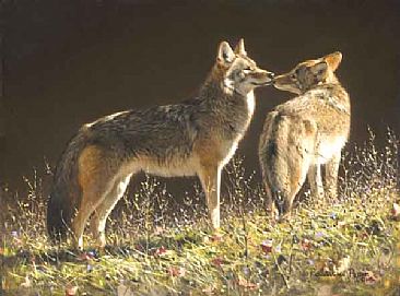 The greeting - Coyote by Patricia Pepin