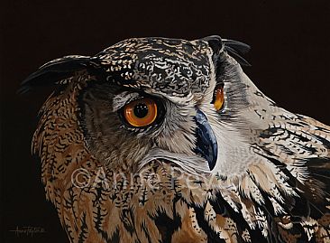 Bird's Eye View - Eurasian Eagle Owl by Anne Peyton
