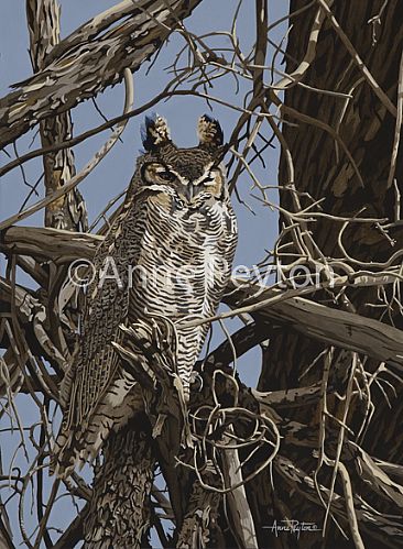 Under a Watchful Eye - Great-horned Owl by Anne Peyton
