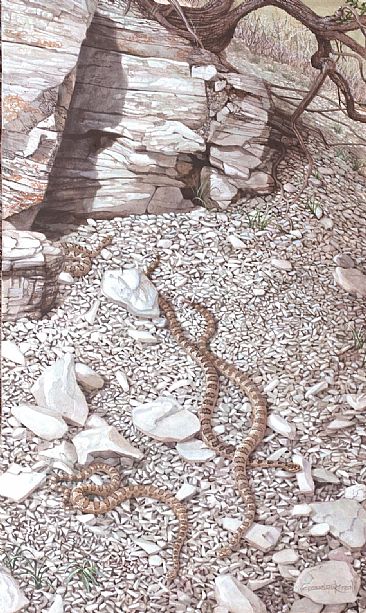APRIL HIBERNACULUM - Great Basin Rattlesnakes by Carel Brest van Kempen