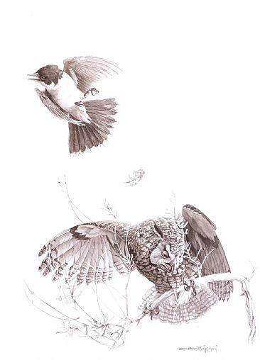 EASTERN KINGBIRD & LONG-EARED OWL -  by Carel Brest van Kempen