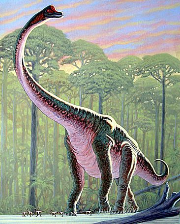 Brachiosaurus and Compsognathus -  by Stephen Quinn