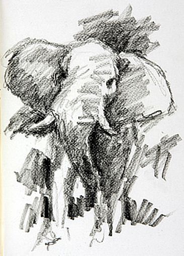 Stroppy Bull - African Elephant by Stephen Quinn
