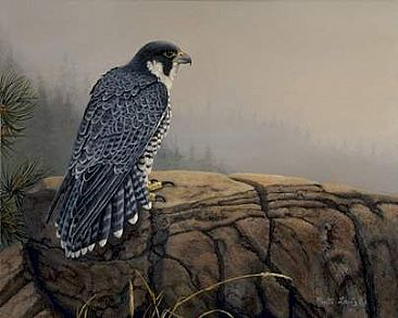 Skylord - Peregrine Falcon by Yvette Lantz