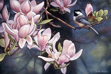 Spring Magnolia's and Chickadee - Chickadee by Yvette Lantz