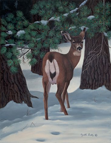 Mule Deer Doe in Winter - Mule Deer Doe by Yvette Lantz