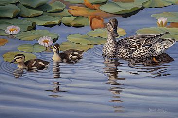 Spring Mallards - Female mallard and ducklings. by Yvette Lantz