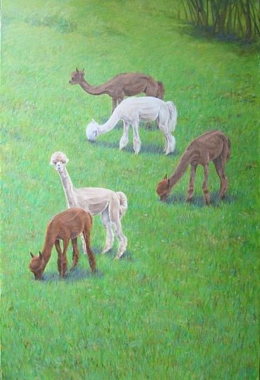 SHORN - Alpacas by J. Sharkey Thomas