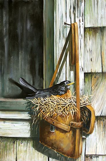 Nest Study - Robin on nest by Len Rusin