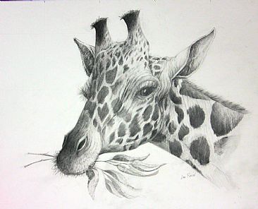 Munch Time - Giraffe by Len Rusin