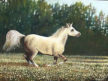 Dapple's Run in the Morning Light - Horse by Len Rusin