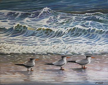 Three Levels Of Concentration - Common Terns by Len Rusin