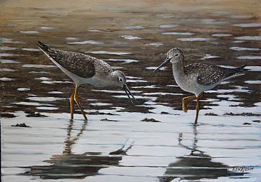 Searching the Flats - Lesser Yellow legs by Len Rusin
