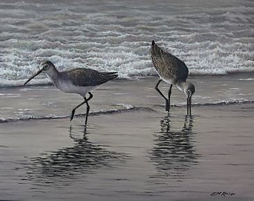 Gray Coastal Morning - Short billed dowitcher by Len Rusin