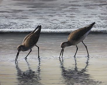 Searching the Shore Line - Short billed dowitcher by Len Rusin
