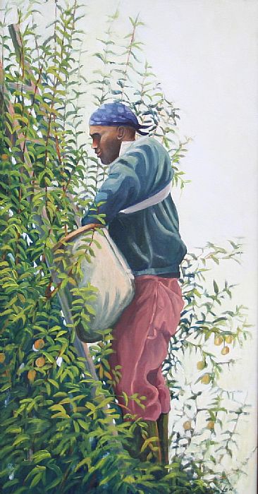 Picker - Farm worker picking apples. by Len Rusin