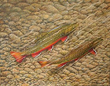 Heading Upstream - Brook Trout by Len Rusin