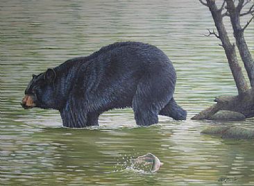 Missed That One - Black bear by Len Rusin
