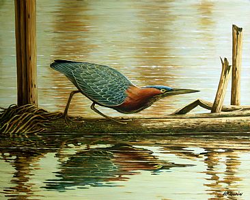 Stalking on the Reeds - Green Heron by Len Rusin