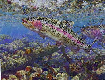 AVOIDING THE OBVIOUS - Rainbow Trout by Mark Susinno