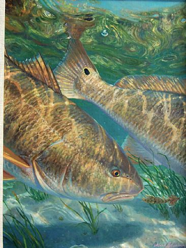 ON THE NOSE - Redfish by Mark Susinno