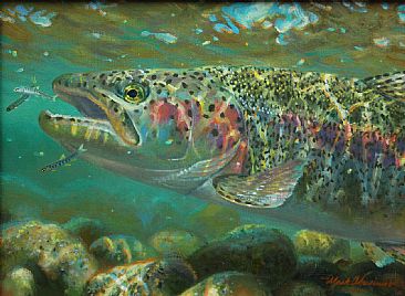 LEOPARD RAINBOW & SALMON FRY - Rainbow trout by Mark Susinno
