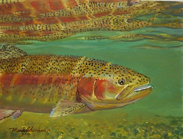 REFLECTING RAINBOW STUDY - Rainbow trout by Mark Susinno