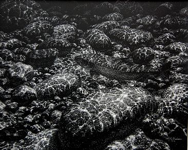 HOLDING - Atlantic Salmon by Mark Susinno
