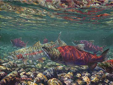 THE EGG THIEF - Rainbow trout & sockeye salmon by Mark Susinno