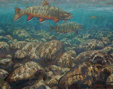FIRST TO THE FLY - Brook trout by Mark Susinno