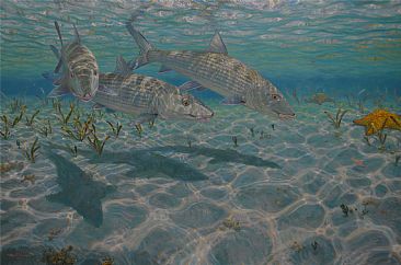 GHOSTS - Bonefish by Mark Susinno