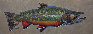 LABRADOR BROOK  TROUT PROFILE - Brook trout by Mark Susinno