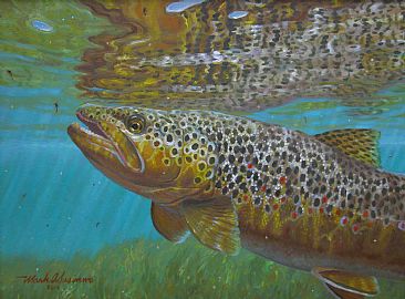 LIQUID GOLD - Brown trout by Mark Susinno