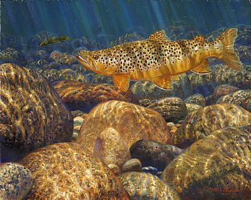SIZE MATTERS - Brown trout by Mark Susinno