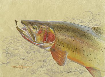 SNAKE RIVER CUTTHROAT STUDY - Cutthroat trout by Mark Susinno