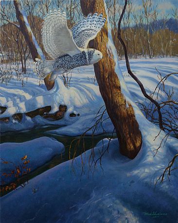 SNOWY - Snowy owl by Mark Susinno