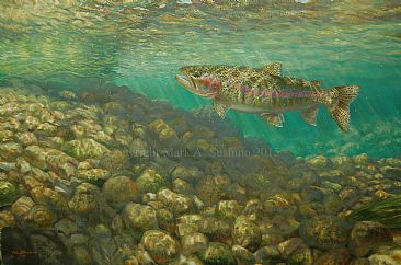 SPRING CREEK EMERGENCE - Rainbow trout by Mark Susinno