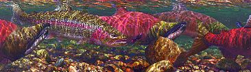 THE INTERLOPER - Rainbow Trout & Sockeye Salmon by Mark Susinno