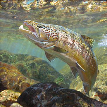 TURNING TO THE FLY - Atlantic Salmon by Mark Susinno