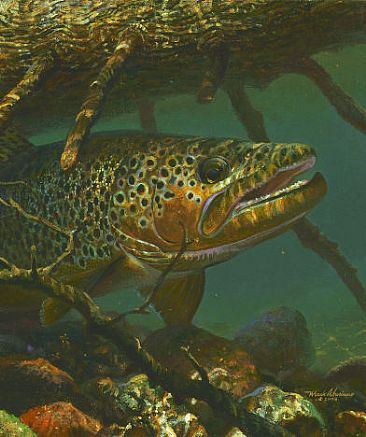 THE WAITING GAME - Brown Trout by Mark Susinno